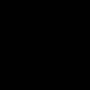 Meet your Posher, Risha